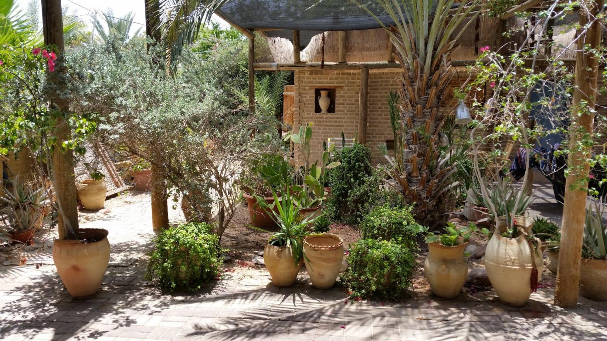 Desert Routes Inn Shvilim Ba Midbar Hazeva Екстер'єр фото